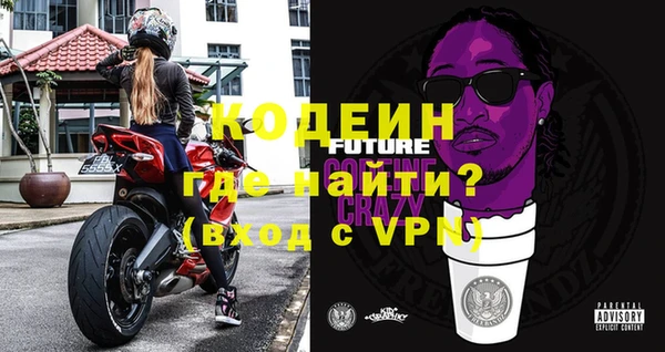 ГАЛЛЮЦИНОГЕННЫЕ ГРИБЫ Нестеровская